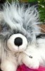 Muffi