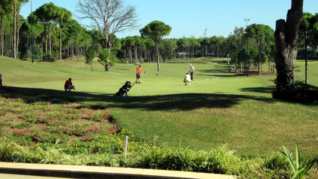 carya2013-10-03